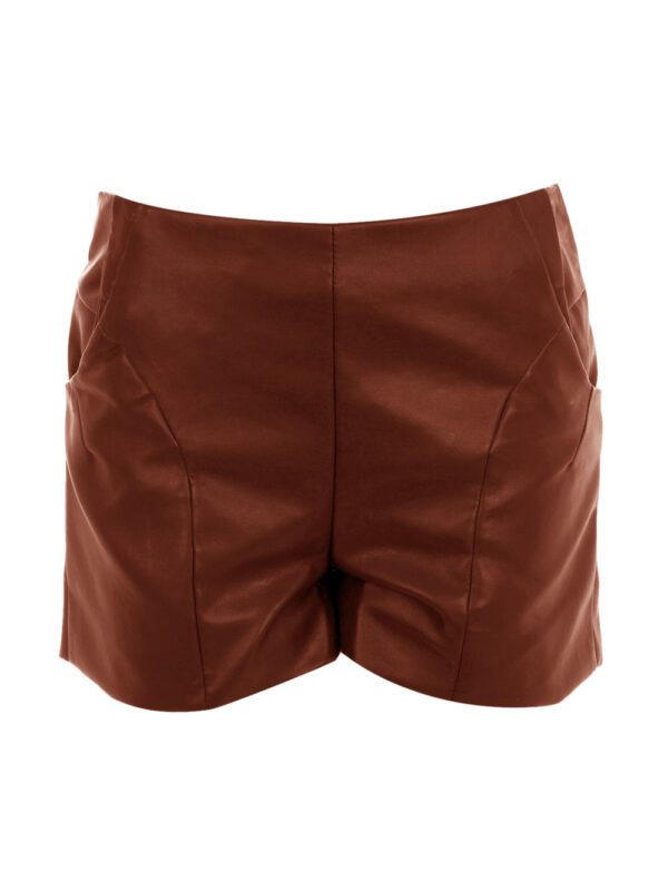 Fascinating Lined Leather Shorts Front