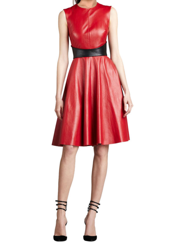 Pleated Flirty Leather Dress Front